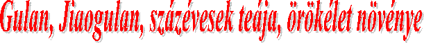 Gulan, Jiaogulan, sz�z�vesek te�ja, �r�k�let n�v�nye
